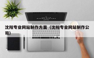 长垣沈阳专业网站制作方案（沈阳专业网站制作公司）